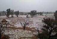 hailstone fall in seeker, on firm looking like snow