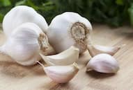 Garlic now stolen after onion