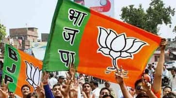 Election 2019 BJP allies Uttar Pradesh try extract their pounds flesh