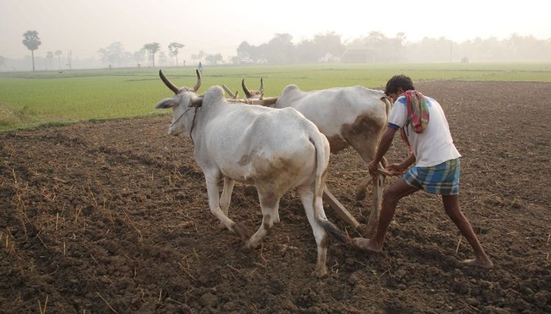 Suvarna news explainer MS Swaminathan Report National Commission on Farmers