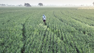 Budget 2019: Rs 6,000 per year for farmers with less than 2  hectares of land..