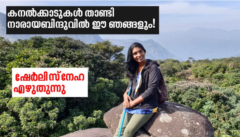 Agasthyakoodam Trekking Travelogue By Adv Sherly Sneha K