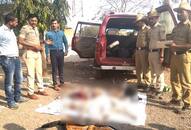 Karnataka forest officials arrest 5 men for smuggling deer meat after hunting