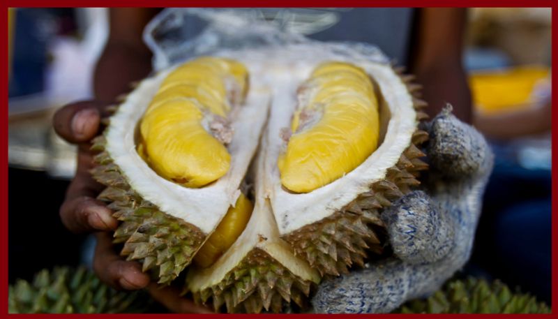 Rare durian fruit go on sale for $1,000 each