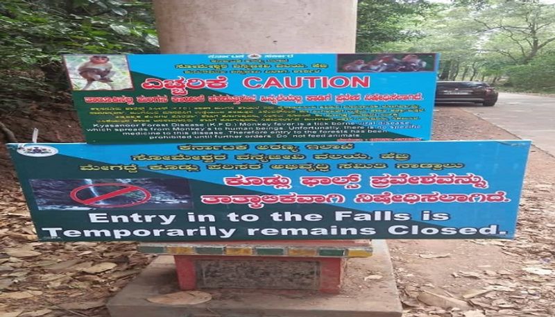 Caution Boards Displayed Near Karavali Beaches Amid Monkey Disease