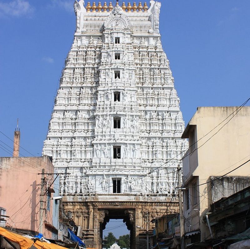 banyan tree fallen at sri govindaraja swamy temple tirupati ksp