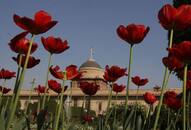 mughal garden open today for common people