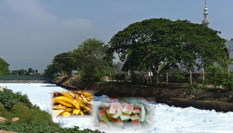 Bengaluru lake pollution Engineering student offers fruity solution frothy problem