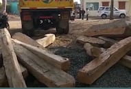 Timber recovered in UP Gorakhpur