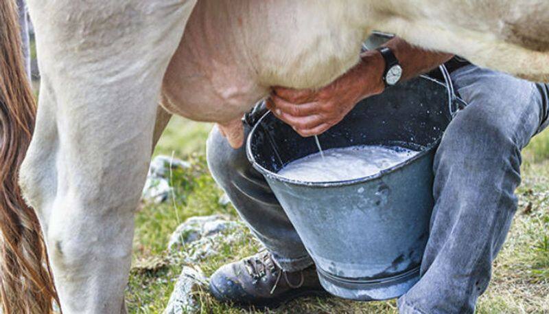 Shivamogga Milk producers Federation hikes Milk Rate