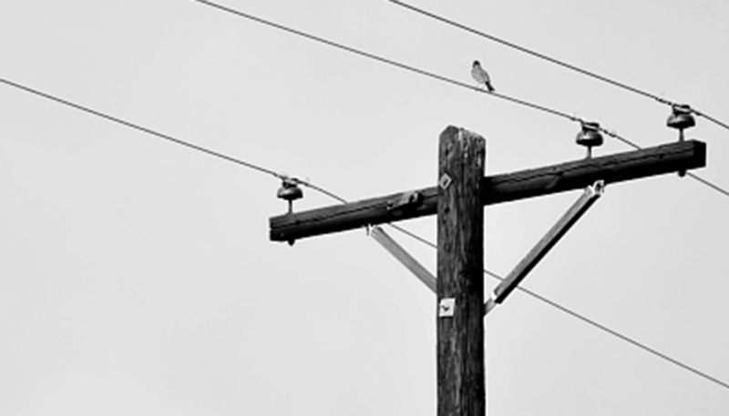 Electric Pole Inviting Death at Shahapur in Yadgir grg