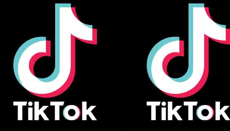 Tamil Nadu govt decided to ban on Tik Tok App