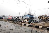 Pulwama terrorist attack: American experts suspect ISI role