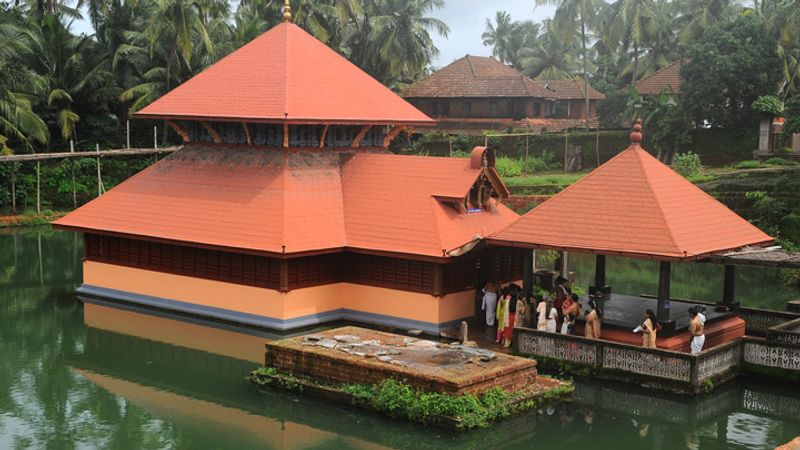 Babiya The vegetarian crocodile in Ananthapura Lake