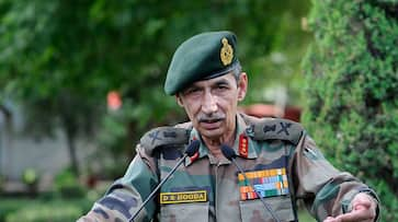 Govt has no option but to react militarily after Pulwama massacre: Lieutenant General (rtd)