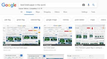 Google image shows Pakistan flag as best toilet paper in the world after Pulwama massacre