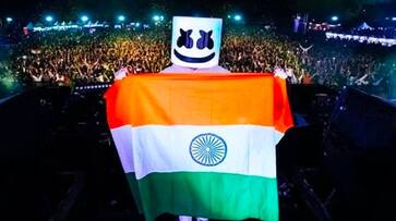 Two-minute silence observed for Pulwama martyrs at Marshmello's show