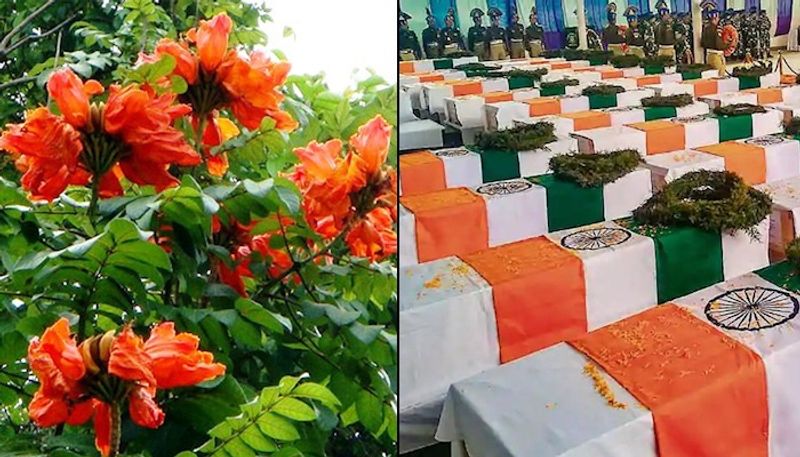 Sarjapur residents plant saplings memory of CRPF jawans killed in Pulwama