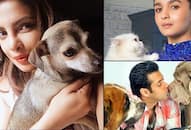 These 13 celebrities pets will make you go aww