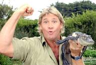 Google Doodle remembers 'Crocodile Hunter' Steve Irwin on his 57th birth anniversary