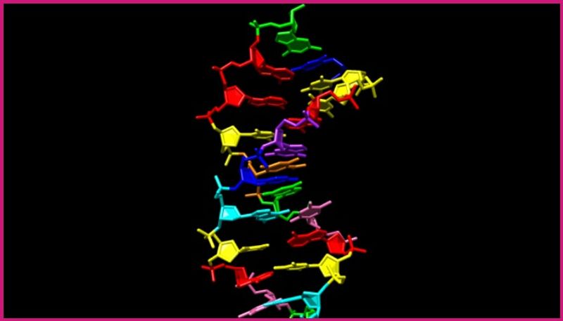 NASA Funded Research Creates DNA-like Molecule to Aid Search for Alien Life