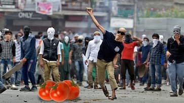 Tomato supply ban: Pakistan says 'Tauba-tauba', stone pelters Stalking in Kashmir