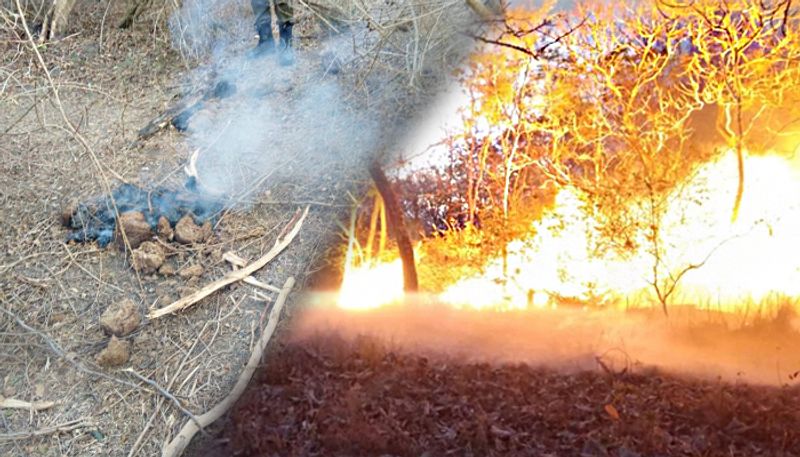 Photo Reveals The Reason For Wild Fire In Bandipur Reserve Forest