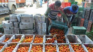 Pakistan tauba tauba terrorist dens stone pelters houses vanishing tomatoes