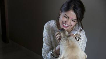 Status of Anushka Sharma's veterinary hospital and animal shelter