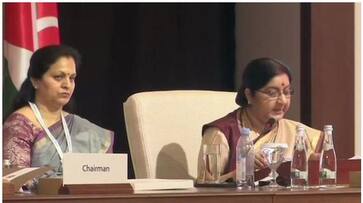 OIC Meeting, Sushma Swaraj Points To Pakistan Hand In Terror