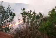 Forest fire engulfs Karnatakas Kudremukh National Park