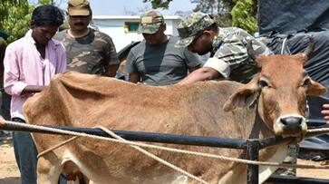 CRPF begins animal outreach Chhattisgarh red corridor