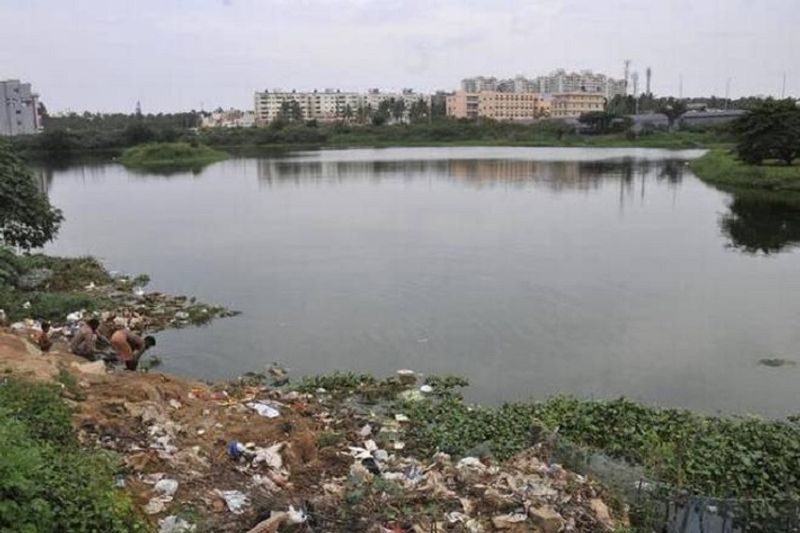 More Bangalore Lakes Are Polluted