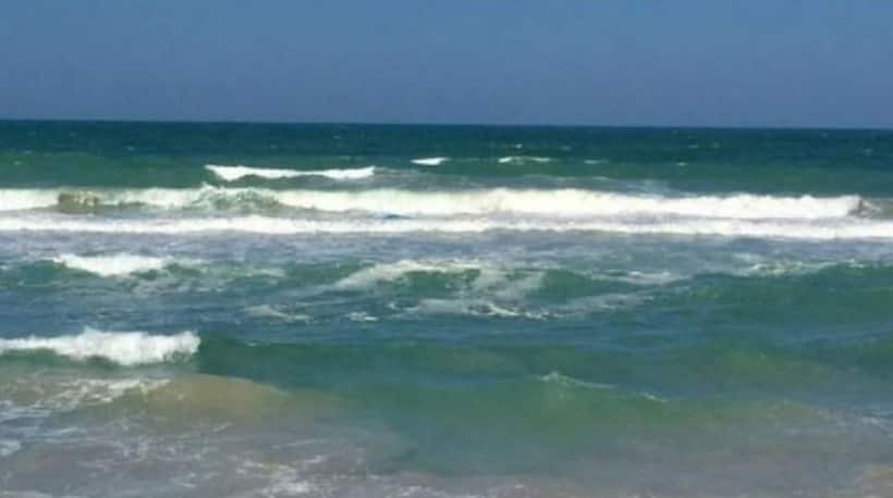 Two swimmers from UK, US make it from Sri Lanka to Dhanushkodi in 7 hours