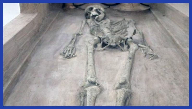 Burial sites and Skeletal Remains that Date Back to Harappan Civilization