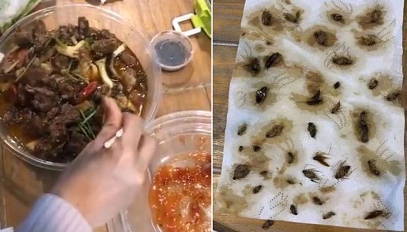 40 dead cockroaches finds in takeaway meals