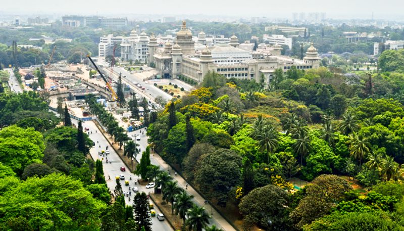 Karnataka high court issues stay elevated corridor project Bengalureans form human chain protest tree felling