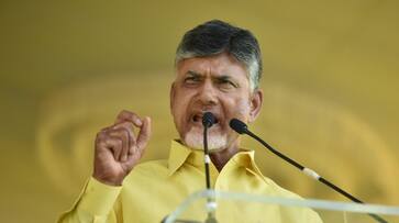 Chandrababu Naidu synastic politics sons of TDP members in fray Andhra Pradesh election