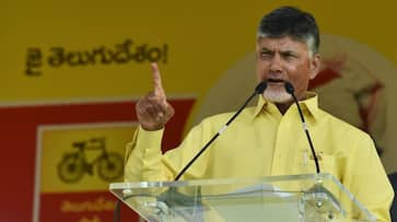 Chandrababu Naidu challenges Jagan special category status Andhra manifesto