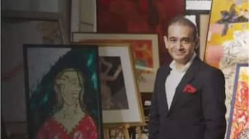 Scamster Nirav Modi made to pay up  paintings auctioned for Rs 55 crore