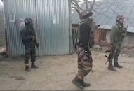 Security forces hunt down three terrorists in Kashmir's Shopian