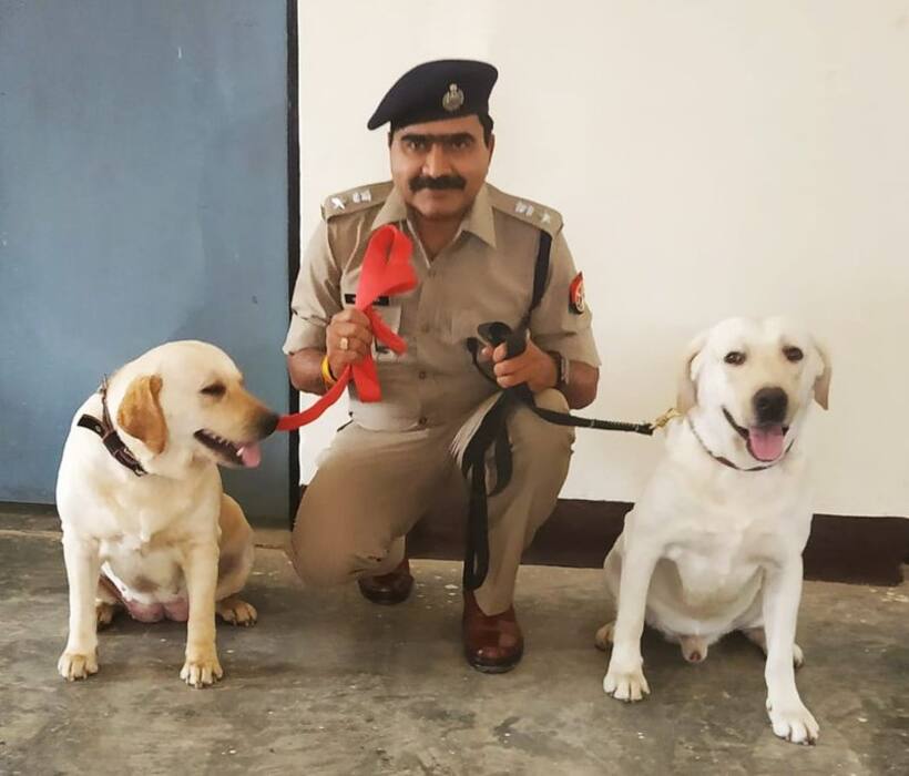 आजमगढ़ में दो खोजी कुत्तों ने सुलझाया ब्लाइंड मर्डर केस