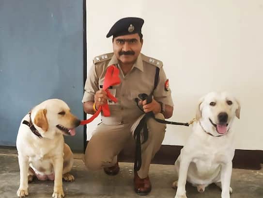 Sniffer dog of UP Police crack a blind murder and kidnapping case in Azamgarh