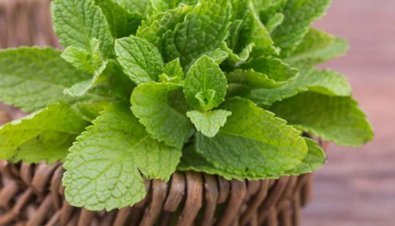 Health benefits of Mint leaves