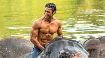 Vidyut Jammwal could be the next Dwayne Johnson, Chuck Russell says so