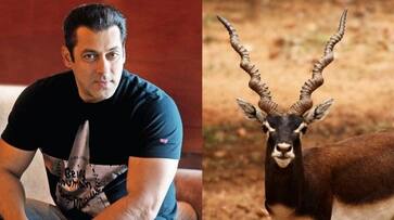 Salman Khan appeal in blackbuck poaching case to be heard today