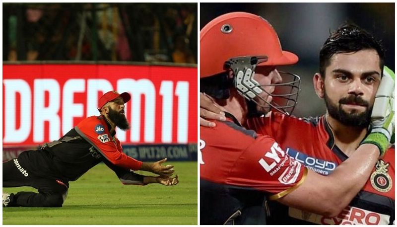 trolls and memes hits rcb after fourth straight loss