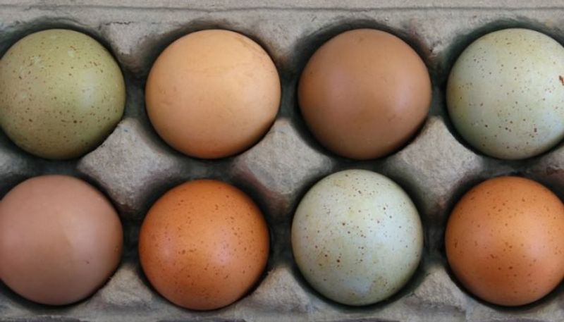 four types of eggs you should include in your diet