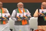 BJP compiled all sector in his election manifesto