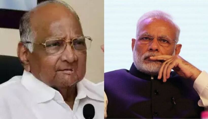 शरद पवार बोले, राहुल नहीं माया, ममता और नायडू हैं पीएम मोदी के सामने उम्मीदवार
